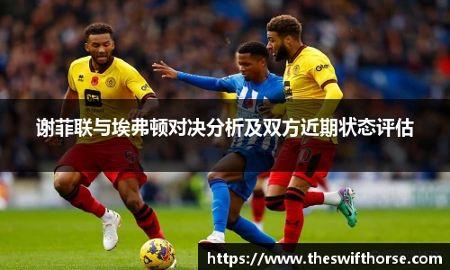 谢菲联与埃弗顿对决分析及双方近期状态评估